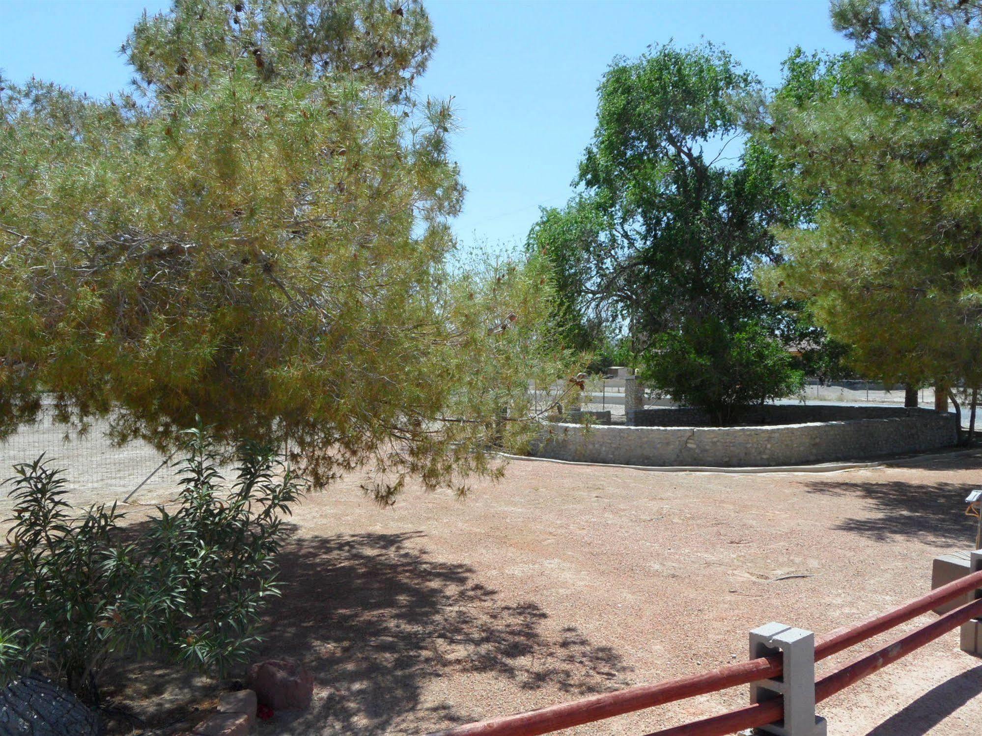 Pahrump Rv Park & Lodging ภายนอก รูปภาพ